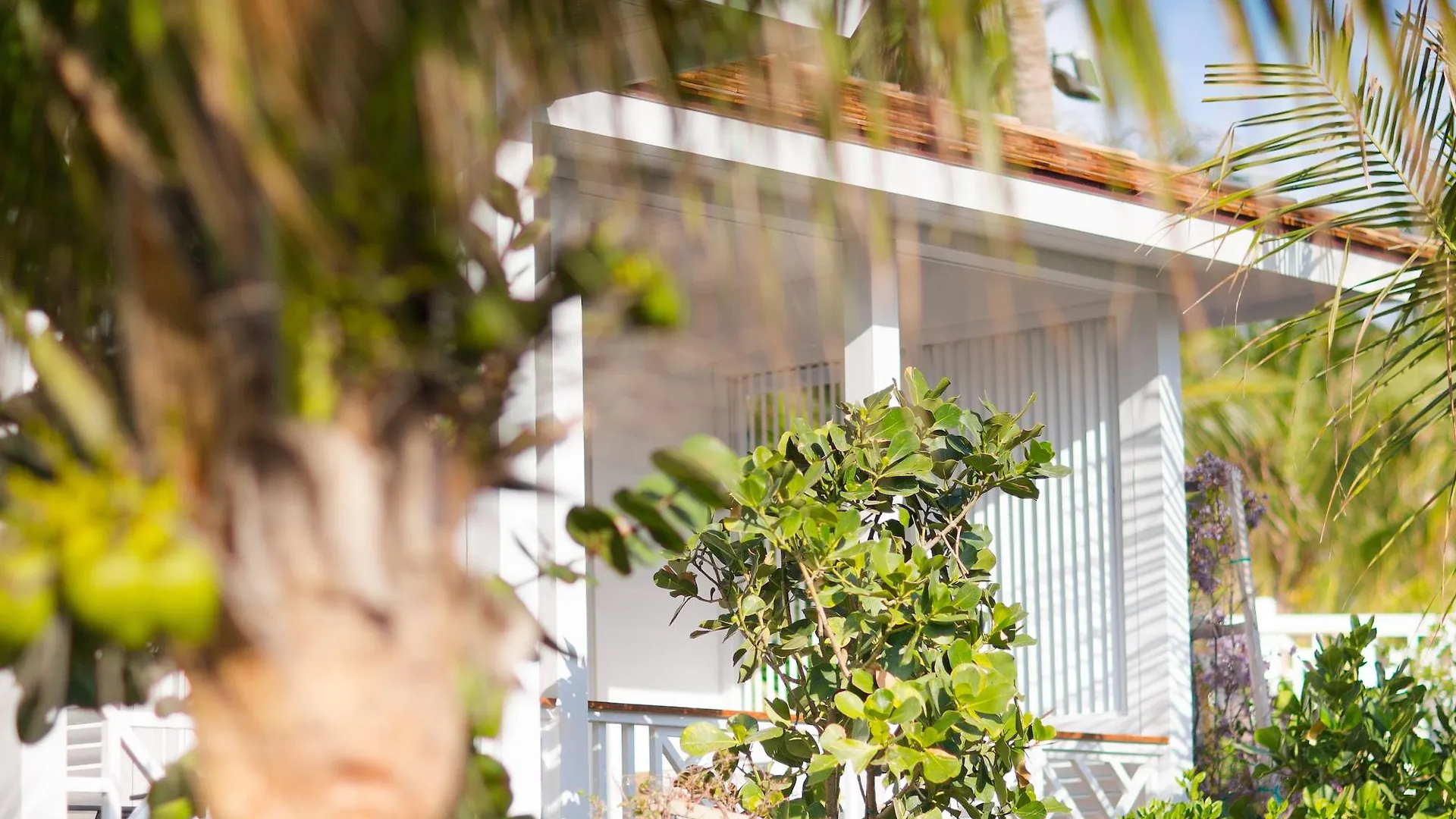 Coral Sands Inn & Cottages Dunmore Town Μπαχάμες