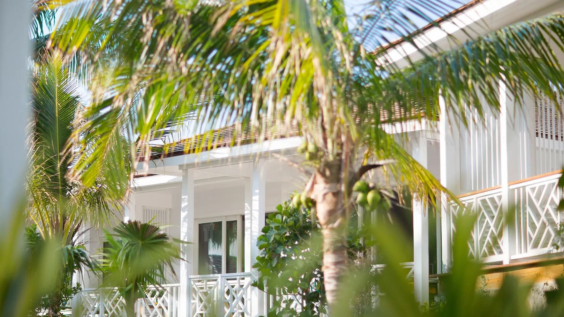 Hotel Coral Sands Inn & Cottages Dunmore Town
